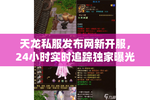 天龙私服发布网新开服，24小时实时追踪独家曝光