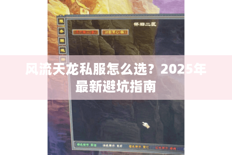 风流天龙私服怎么选？2025年最新避坑指南