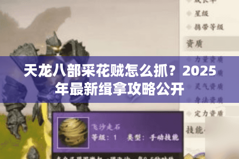 天龙八部采花贼怎么抓？2025年最新缉拿攻略公开