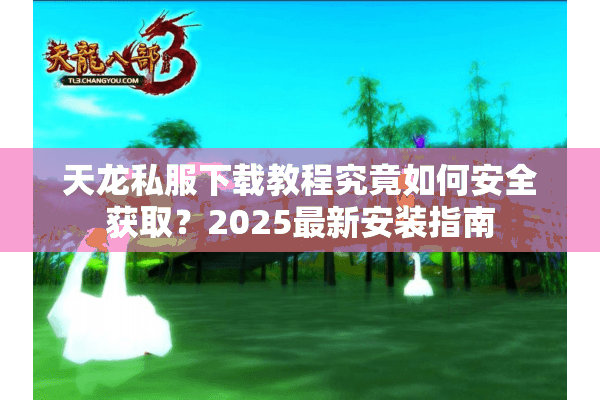 天龙私服下载教程究竟如何安全获取？2025最新安装指南