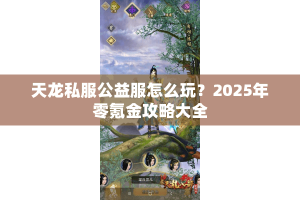 天龙私服公益服怎么玩？2025年零氪金攻略大全