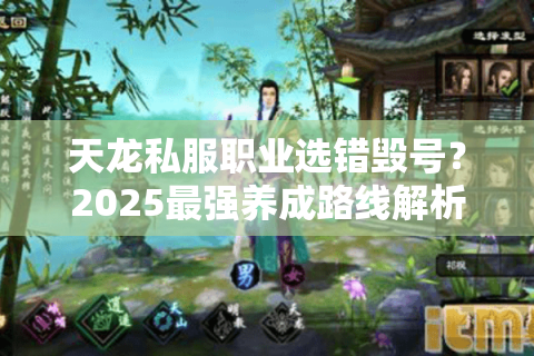 天龙私服职业选错毁号？2025最强养成路线解析