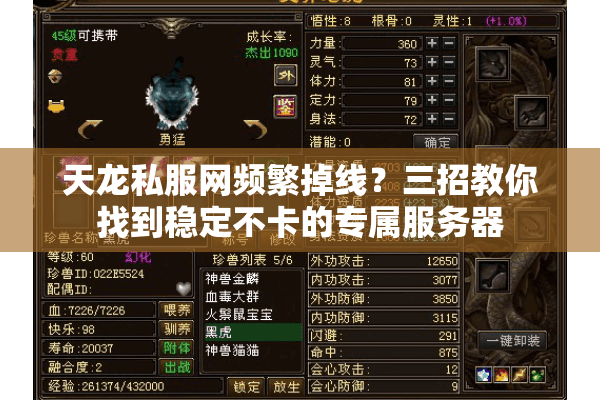 天龙私服网频繁掉线？三招教你找到稳定不卡的专属服务器