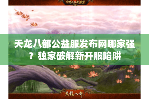 天龙八部公益服发布网哪家强？独家破解新开服陷阱