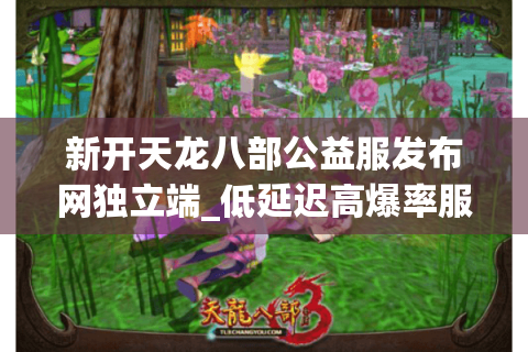 新开天龙八部公益服发布网独立端_低延迟高爆率服务器哪里找? 新开天龙八部公益服发布网独立端_低延迟高爆率服务器哪里找?