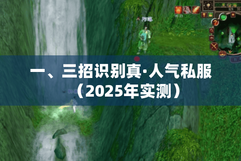 一、三招识别真·人气私服（2025年实测）