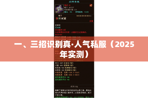 一、三招识别真·人气私服（2025年实测）