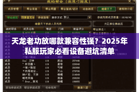 天龙老功放哪款兼容性强？2025年私服玩家必看设备避坑清单