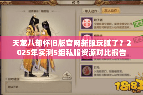 天龙八部怀旧版官网新服玩腻了？2025年实测5组私服资源对比报告