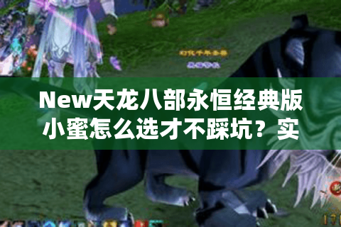 New天龙八部永恒经典版小蜜怎么选才不踩坑?实测2025私服隐藏数据 New天龙八部永恒经典版小蜜怎么选才不踩坑?实测2025私服隐藏数据