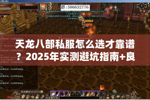 天龙八部私服怎么选才靠谱？2025年实测避坑指南+良心推荐