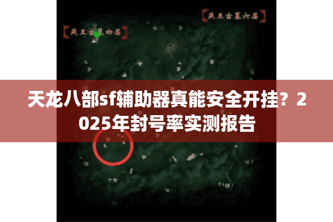 天龙八部sf辅助器真能安全开挂？2025年封号率实测报告