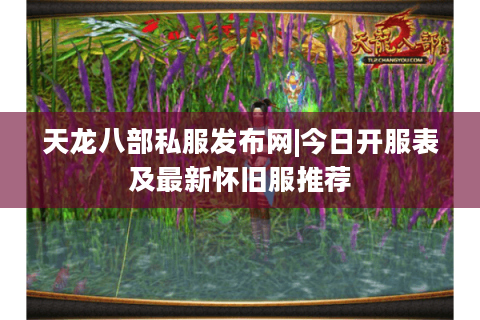 天龙八部私服发布网|今日开服表及最新怀旧服推荐