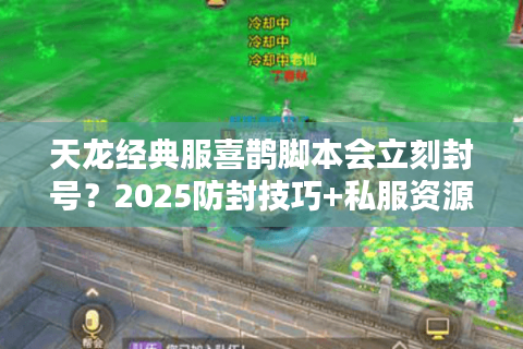 天龙经典服喜鹊脚本会立刻封号？2025防封技巧+私服资源筛选法