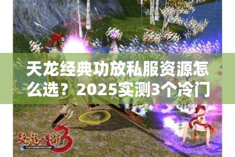 天龙经典功放私服资源怎么选？2025实测3个冷门方案避坑