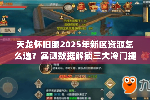 天龙怀旧服2025年新区资源怎么选?实测数据解锁三大冷门捷径 天龙怀旧服2025年新区资源怎么选?实测数据解锁三大冷门捷径