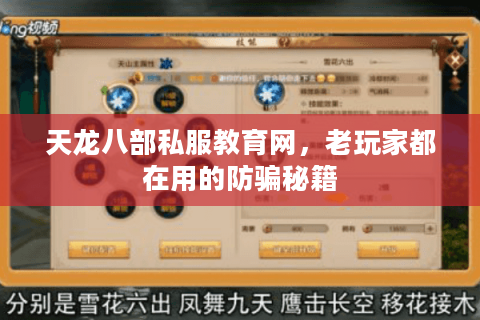 天龙八部私服教育网，老玩家都在用的防骗秘籍