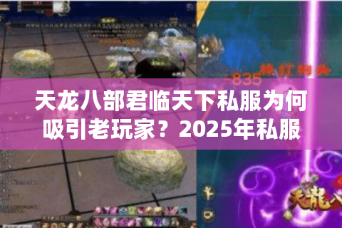 天龙八部君临天下私服为何吸引老玩家？2025年私服选择三大法则