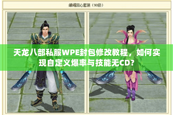 天龙八部私服WPE封包修改教程，如何实现自定义爆率与技能无CD？