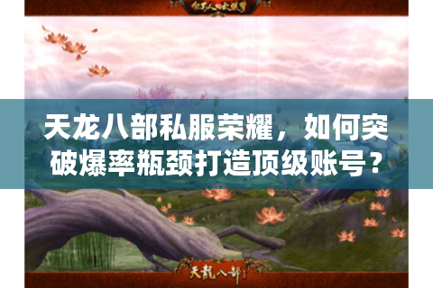 天龙八部私服荣耀，如何突破爆率瓶颈打造顶级账号？