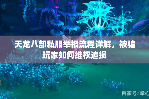 天龙八部私服举报流程详解，被骗玩家如何维权追损