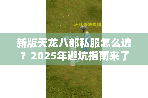新版天龙八部私服怎么选？2025年避坑指南来了