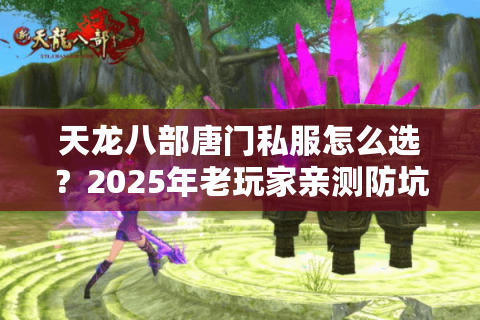 天龙八部唐门私服怎么选？2025年老玩家亲测防坑指南