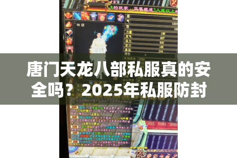 唐门天龙八部私服真的安全吗？2025年私服防封必看攻略