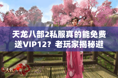 天龙八部2私服真的能免费送VIP12？老玩家揭秘避坑指南