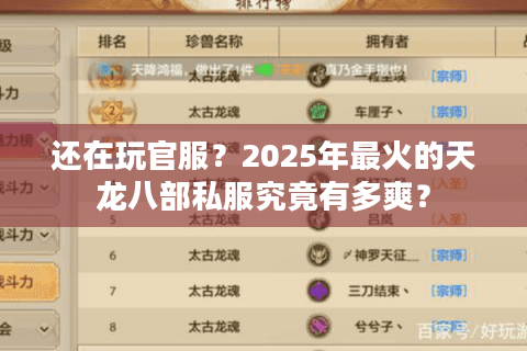 还在玩官服？2025年最火的天龙八部私服究竟有多爽？