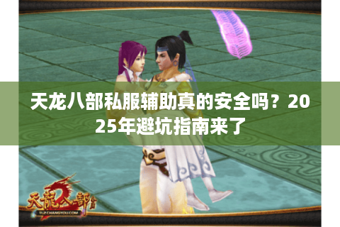 天龙八部私服辅助真的安全吗？2025年避坑指南来了