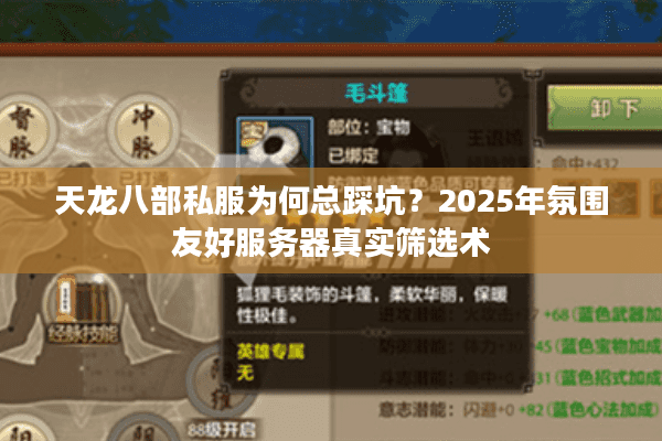 天龙八部私服为何总踩坑？2025年氛围友好服务器真实筛选术