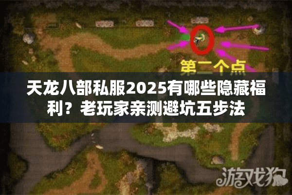 天龙八部私服2025有哪些隐藏福利？老玩家亲测避坑五步法