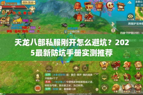 天龙八部私服刚开怎么避坑？2025最新防坑手册实测推荐
