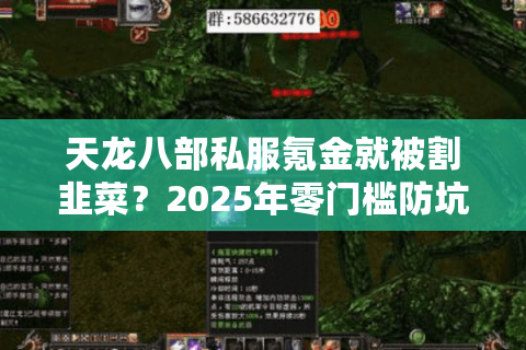 天龙八部私服氪金就被割韭菜？2025年零门槛防坑生存手册