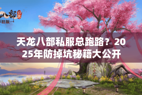 天龙八部私服总跑路？2025年防掉坑秘籍大公开