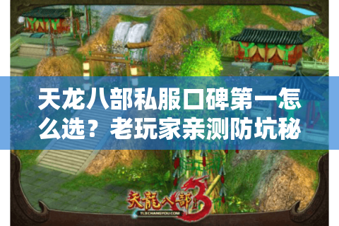 天龙八部私服口碑第一怎么选？老玩家亲测防坑秘籍