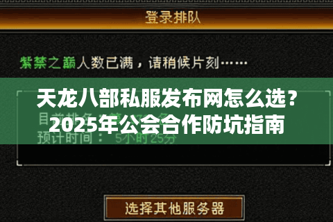 天龙八部私服发布网怎么选？2025年公会合作防坑指南