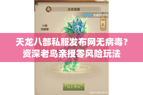 天龙八部私服发布网无病毒？资深老鸟亲授零风险玩法