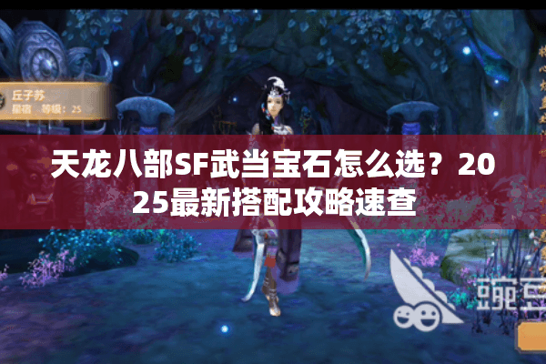 天龙八部SF武当宝石怎么选？2025最新搭配攻略速查