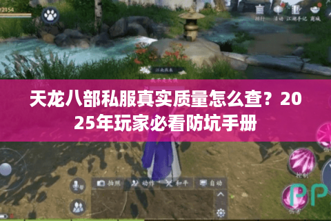 天龙八部私服真实质量怎么查？2025年玩家必看防坑手册