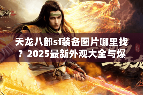 天龙八部sf装备图片哪里找？2025最新外观大全与爆率解析
