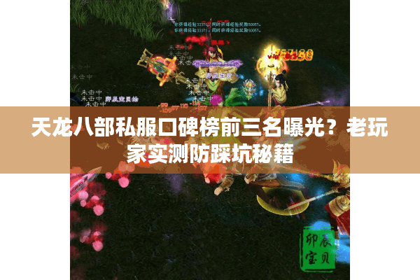 天龙八部私服口碑榜前三名曝光？老玩家实测防踩坑秘籍