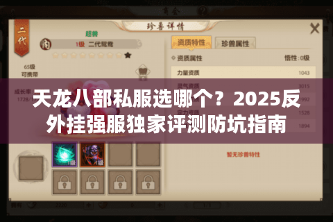 天龙八部私服选哪个？2025反外挂强服独家评测防坑指南