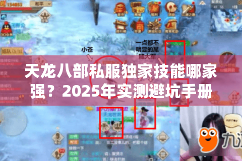 天龙八部私服独家技能哪家强？2025年实测避坑手册