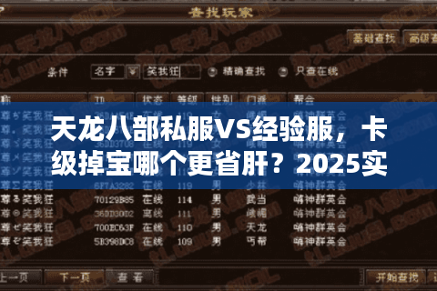 天龙八部私服VS经验服，卡级掉宝哪个更省肝？2025实测）