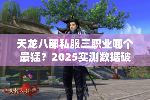 天龙八部私服三职业哪个最猛？2025实测数据破除选择焦虑
