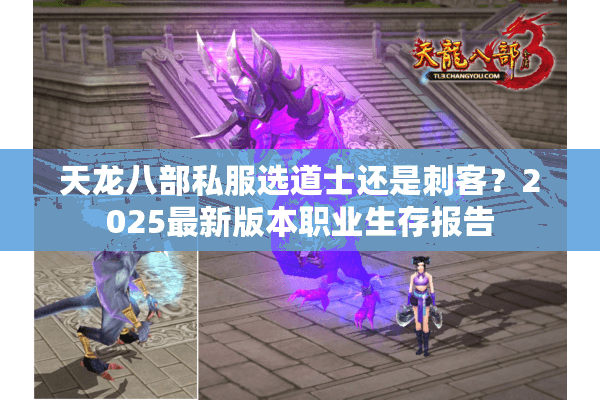天龙八部私服选道士还是刺客?2025最新版本职业生存报告 天龙八部私服选道士还是刺客?2025最新版本职业生存报告