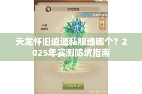 天龙怀旧逍遥私服选哪个？2025年实测防坑指南