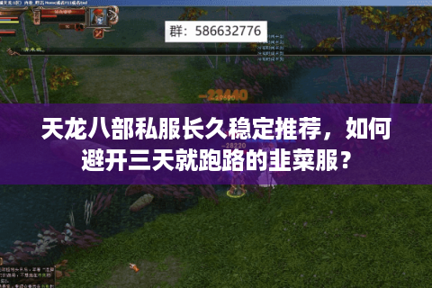 天龙八部私服长久稳定推荐，如何避开三天就跑路的韭菜服？